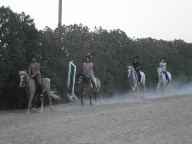 Excursiones a caballo en el recinto